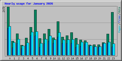 Hourly usage for January 2026